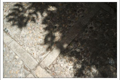 Diego Martínez Castañeda