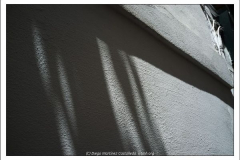 Diego Martínez Castañeda