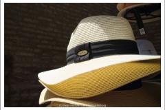 Diego Martínez Castañeda