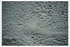 Diego Martínez Castañeda