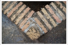 Diego Martínez Castañeda