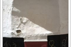 Diego Martínez Castañeda