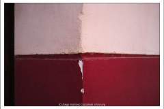 Diego Martínez Castañeda