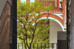 Francisco Sanchez
