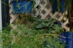 Raquel de la Iglesia