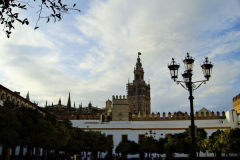 Carmen