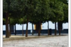 Diego Martínez Castañeda