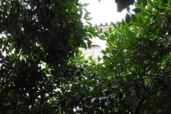 Eva María Fernández