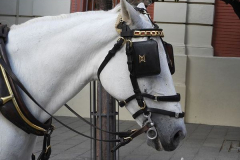 Eva María Fernández