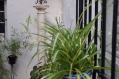 Miguel Ángel López Torralba