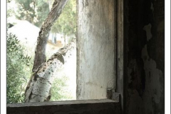 Diego Martínez Castañeda