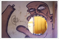 Diego Martínez Castañeda