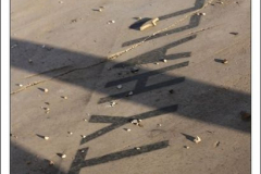 Diego Martínez Castañeda