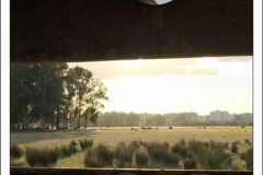 Diego Martínez Castañeda