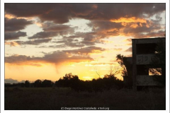 Diego Martínez Castañeda