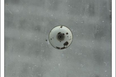 Diego Martínez Castañeda