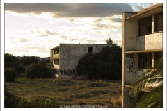 Diego Martínez Castañeda