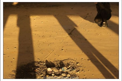 Diego Martínez Castañeda