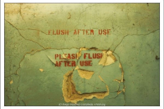 Diego Martínez Castañeda