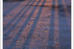 Diego Martínez Castañeda