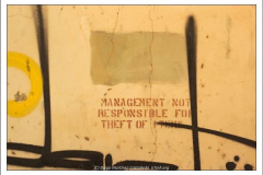 Diego Martínez Castañeda