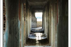 Diego Martínez Castañeda