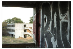 Diego Martínez Castañeda