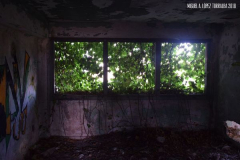 Miguel Ángel López Torralba