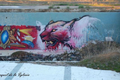 Raquel de La Iglesia