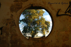 Raquel de La Iglesia