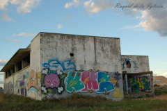 Raquel de La Iglesia