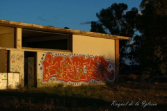 Raquel de La Iglesia