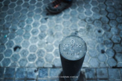 Diego Martínez Castañeda