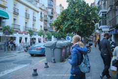 Diego Martínez Castañeda