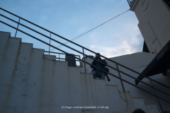 Diego Martínez Castañeda