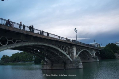 Diego Martínez Castañeda