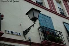 Raquel de la Iglesia