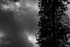 Diego Martínez Castañeda