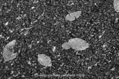 Diego Martínez Castañeda