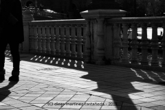 Diego Martínez Castañeda