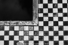 Diego Martínez Castañeda