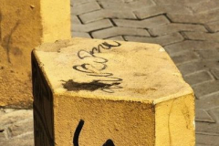 Diego-Martínez-Castañeda-15