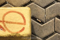 Diego-Martínez-Castañeda-16