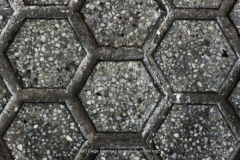 Diego-Martínez-Castañeda-7