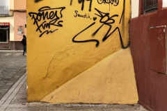 Diego-Martínez-Castañeda-9