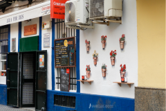 Eva-María-Fernández-5