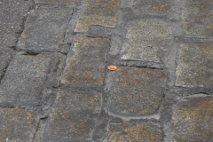 Eva-María-Fernández-6