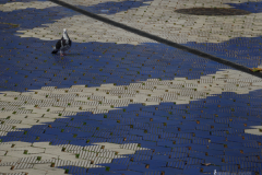 Eva-María-Fernández-7