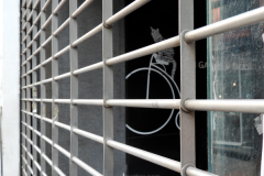 Eva-María-Fernández