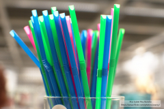 Ana_Isabel_Rey_Botello_DSC_0069_1